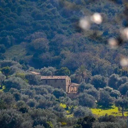 Masseria Maggiore Pettineo