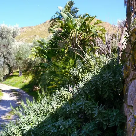 Masseria Maggiore *